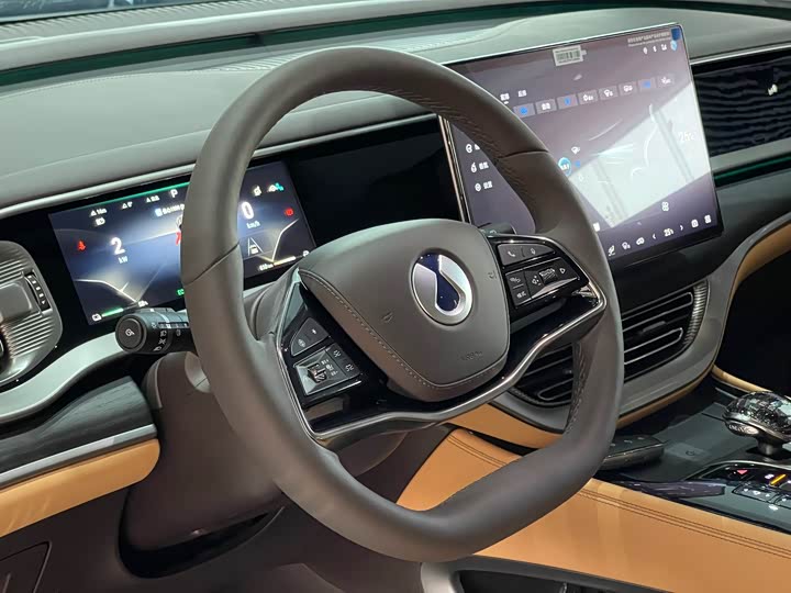 Фото 14 - Denza D9