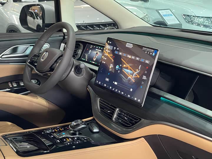 Фото 15 - Denza D9