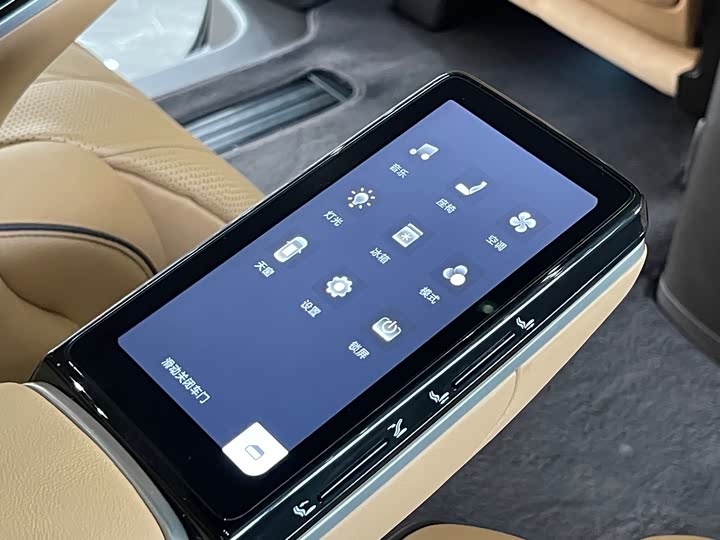 Фото 17 - Denza D9