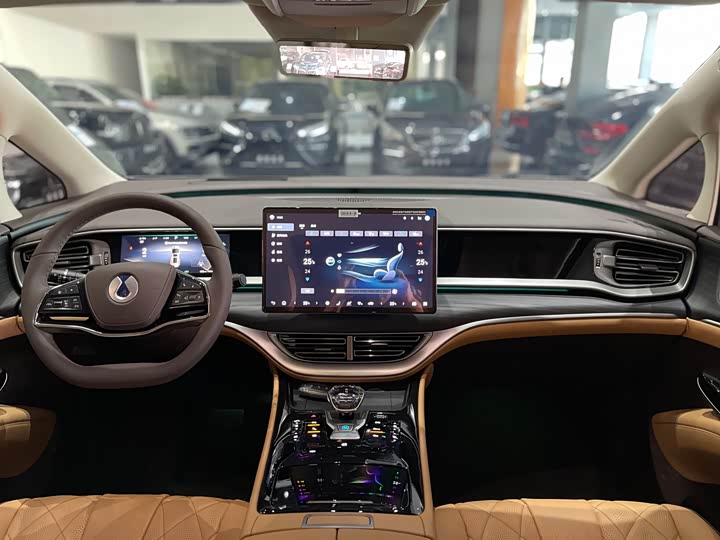 Фото 6 - Denza D9