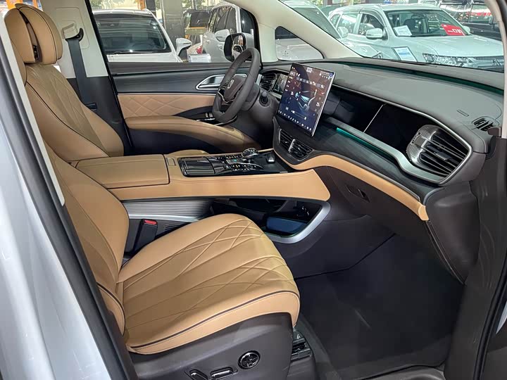 Фото 8 - Denza D9