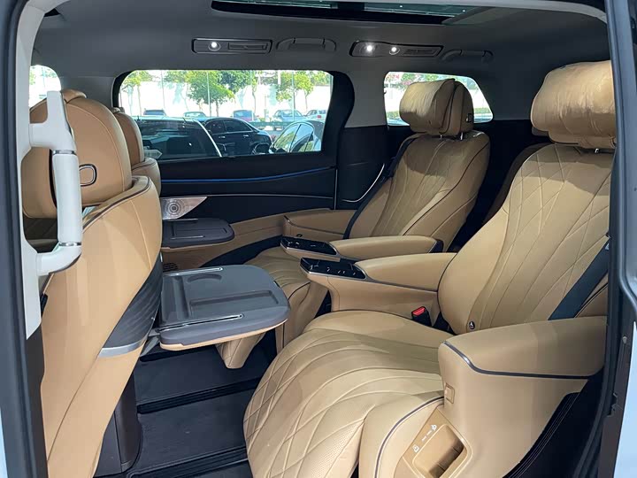 Фото 9 - Denza D9