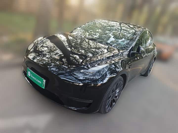 Фото 2 - Tesla Model Y