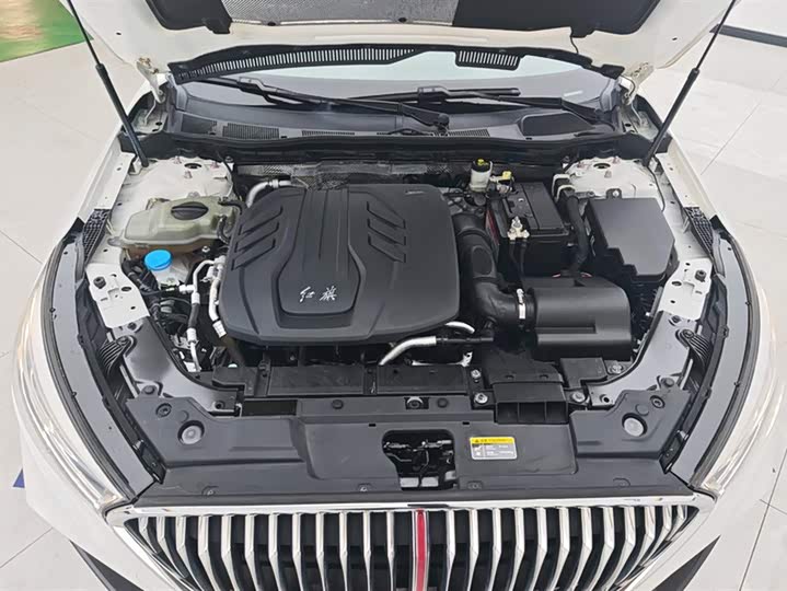 Фото 10 - Hongqi H5