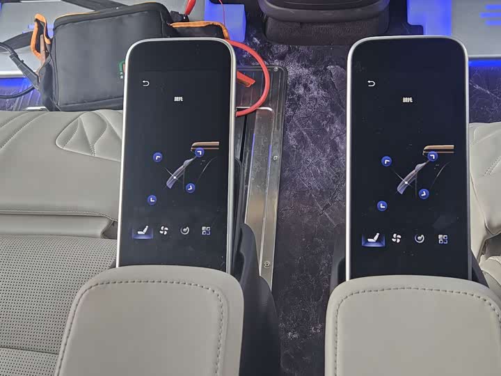 Фото 6 - Hongqi HQ9