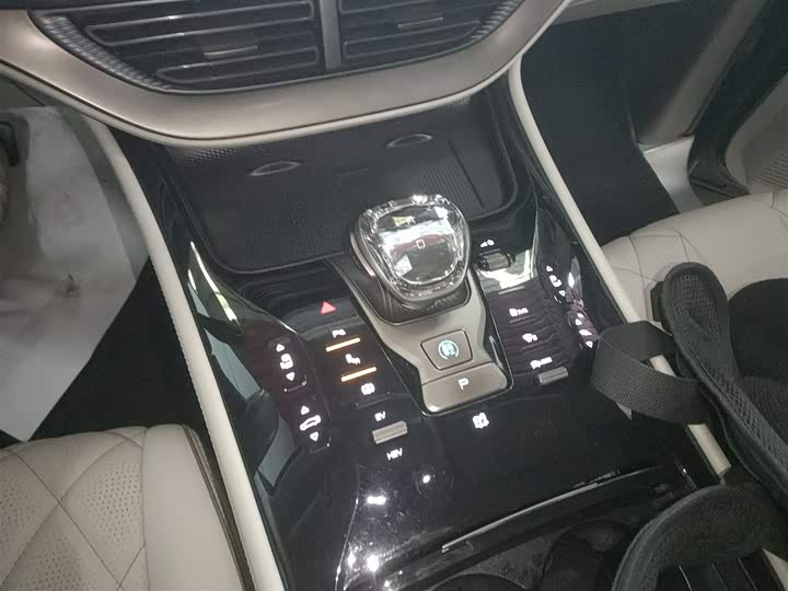 Фото 14 - Denza D9