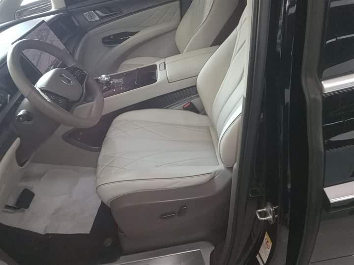 Фото 15 - Denza D9