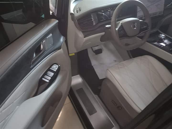 Фото 16 - Denza D9