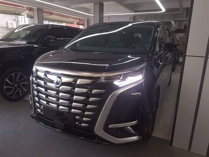 Фото 2 - Denza D9