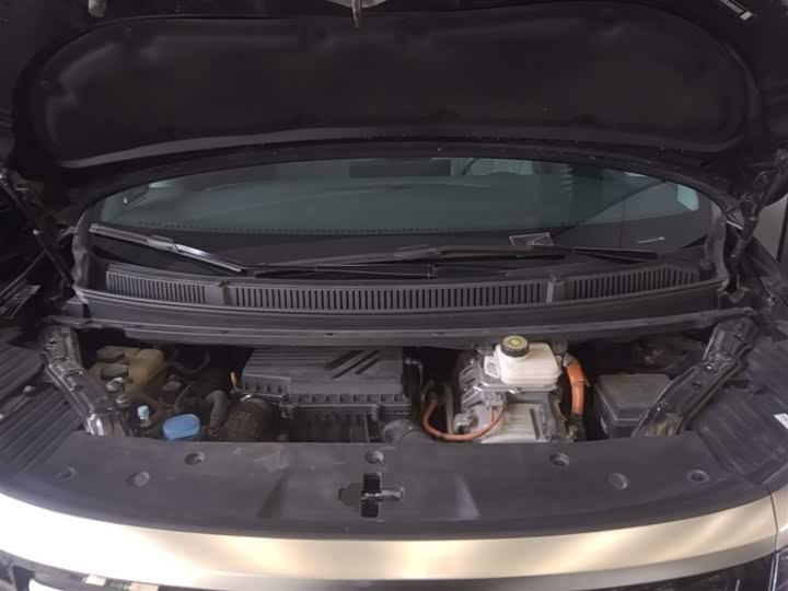 Фото 20 - Denza D9