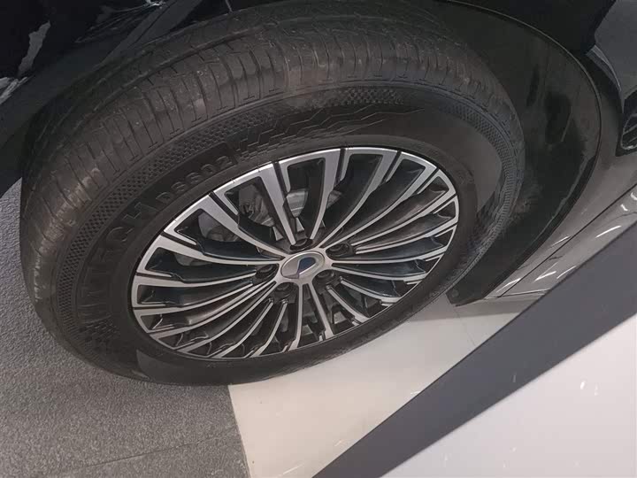 Фото 23 - Denza D9