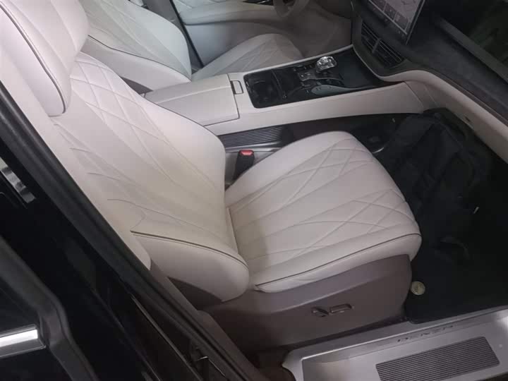 Фото 25 - Denza D9