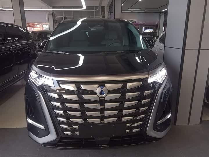 Фото 3 - Denza D9