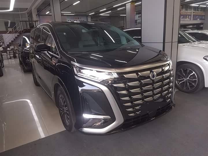 Фото 4 - Denza D9