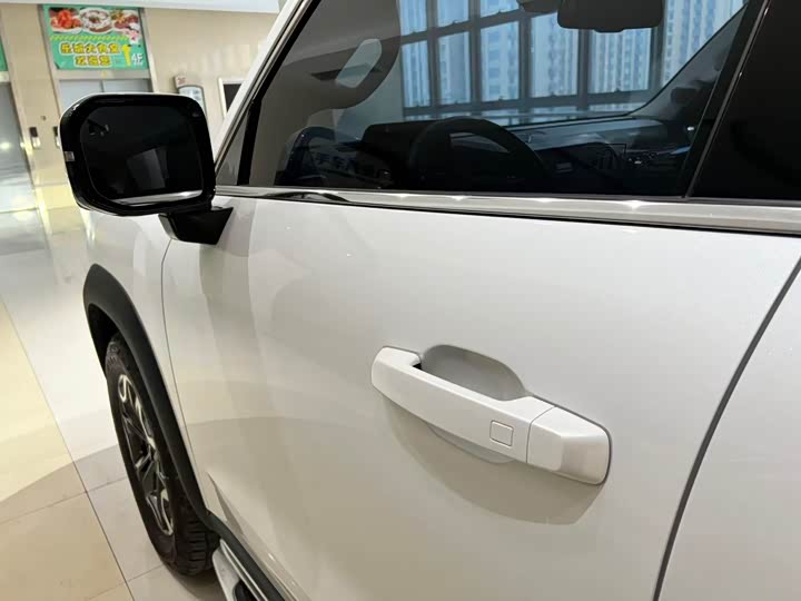 Фото 4 - Haval Dargo