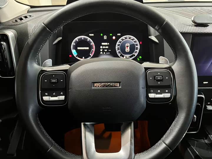 Фото 9 - Haval Dargo