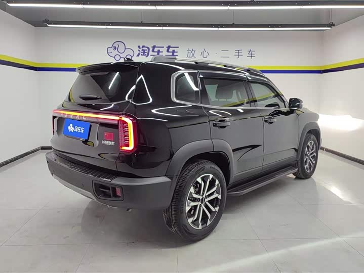 Фото 3 - Haval Dargo