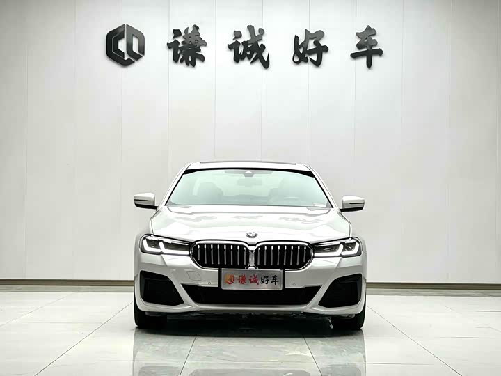 Фото 2 - BMW 5 Series Hybrid