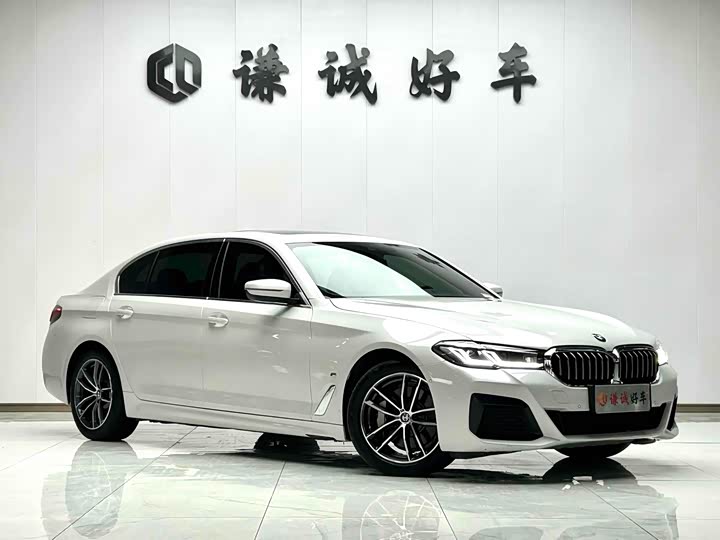 Фото 3 - BMW 5 Series Hybrid