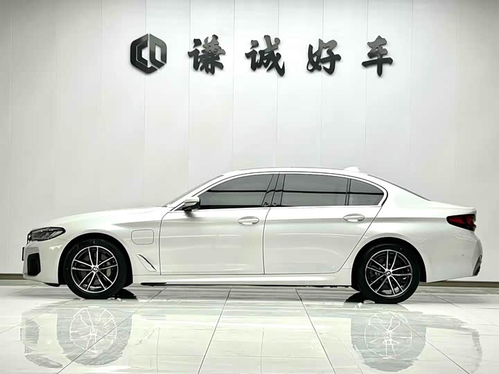 Фото 4 - BMW 5 Series Hybrid