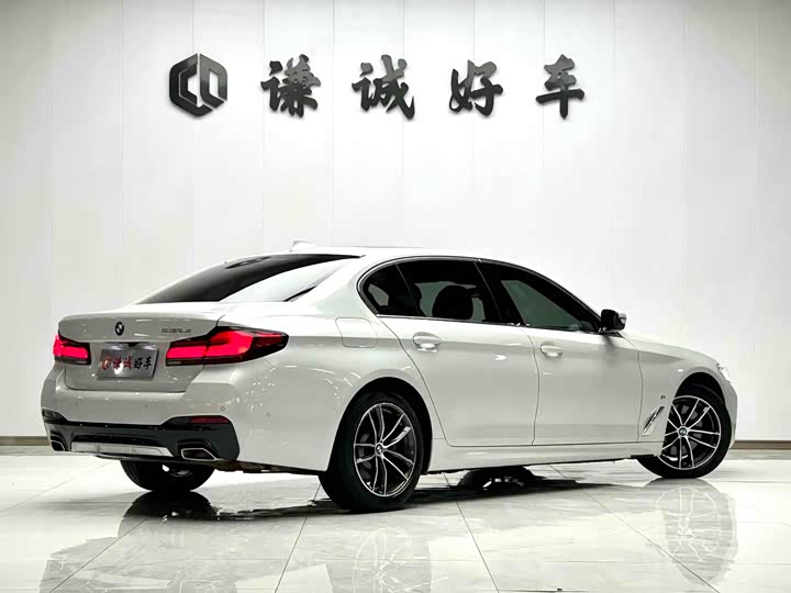 Фото 5 - BMW 5 Series Hybrid