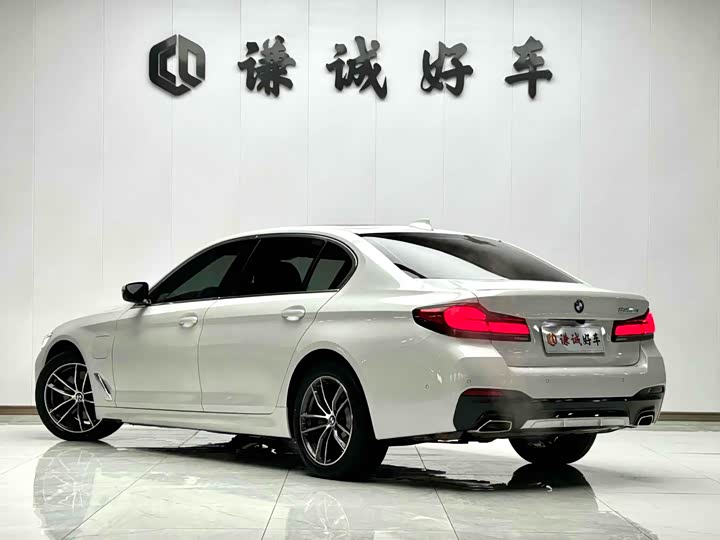 Фото 7 - BMW 5 Series Hybrid