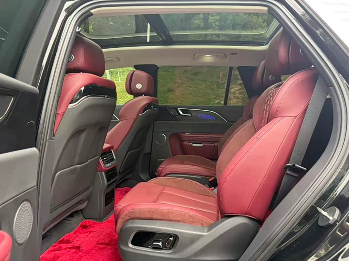 Фото 10 - Hongqi E-HS9