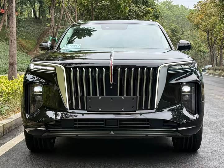 Фото 2 - Hongqi E-HS9