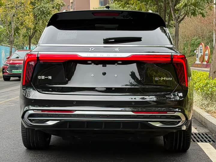 Фото 6 - Hongqi E-HS9
