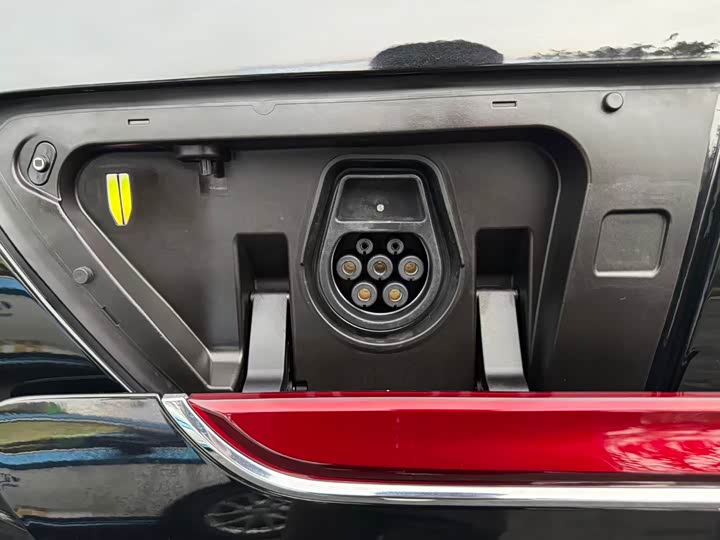 Фото 7 - Hongqi E-HS9