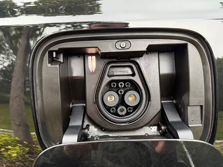 Фото 8 - Hongqi E-HS9