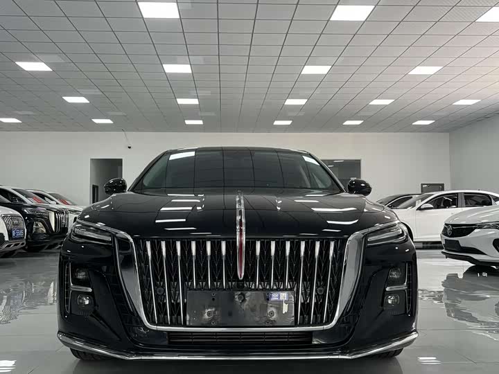 Фото 1 - Hongqi H5