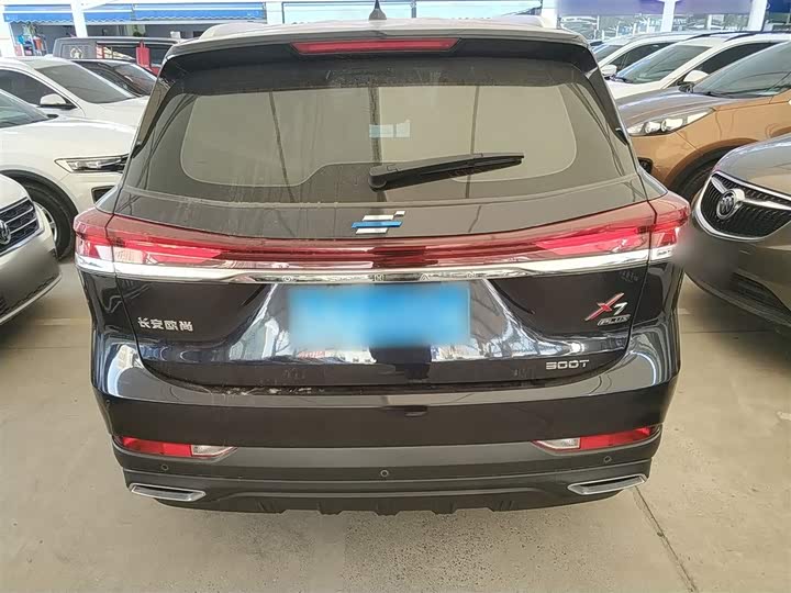 Фото 6 - Changan Oshan X7 Plus