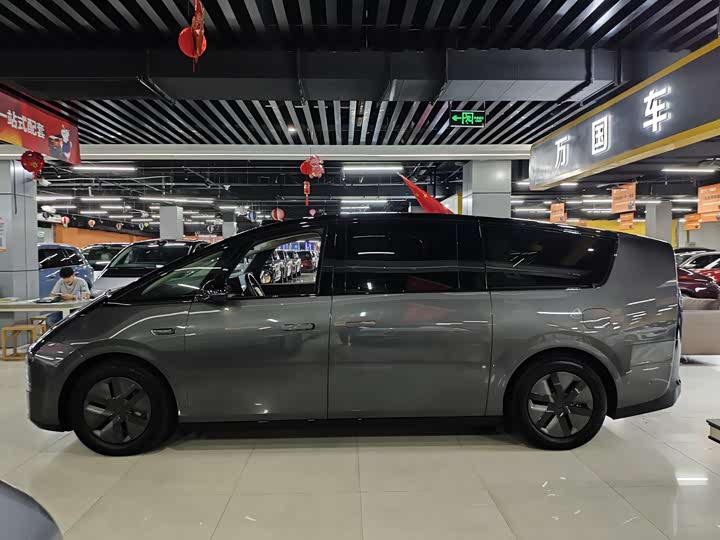 Фото 3 - LiXiang Mega