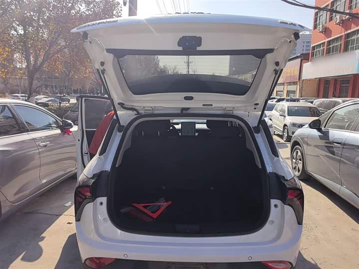 Фото 19 - Hozon V