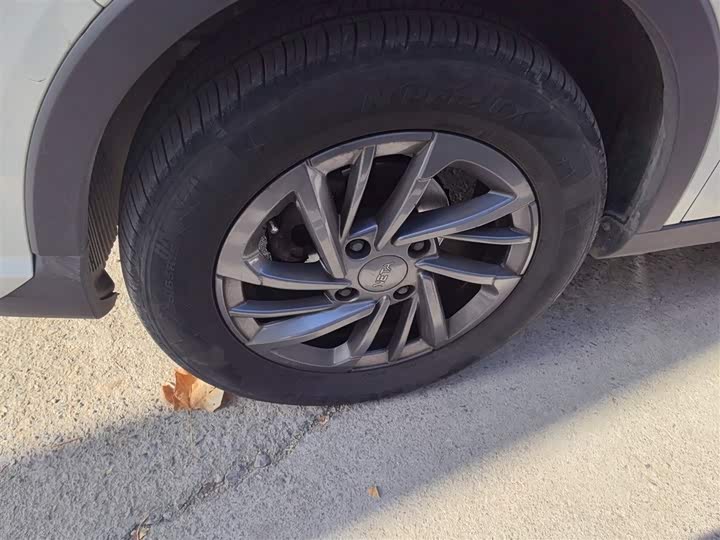 Фото 23 - Hozon V