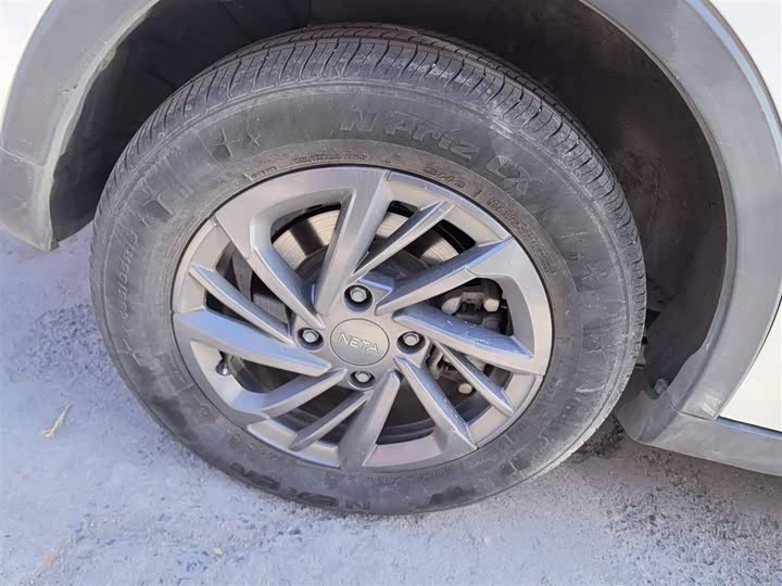 Фото 26 - Hozon V