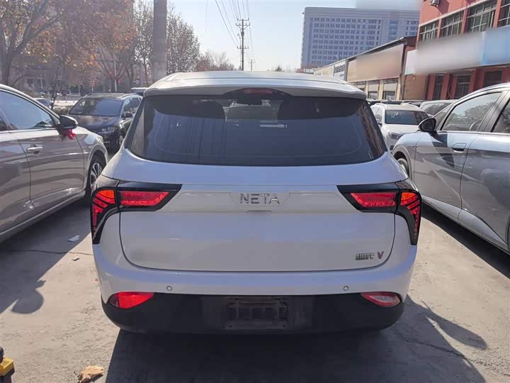 Фото 6 - Hozon V