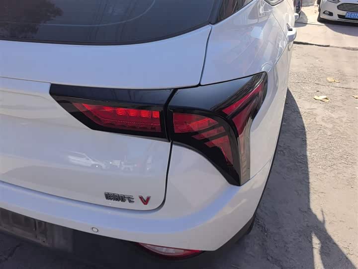 Фото 8 - Hozon V