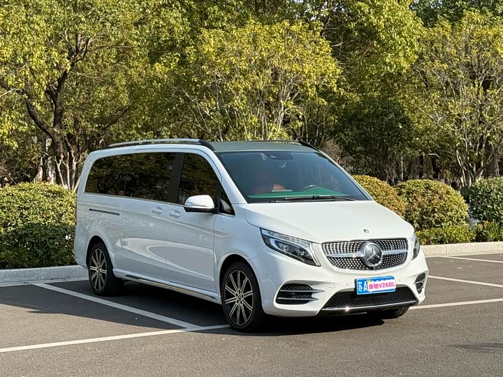 Фото 2 - Mercedes-Benz V-Class