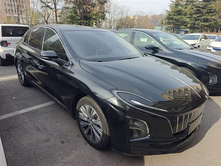 Фото 4 - Hongqi E-QM5