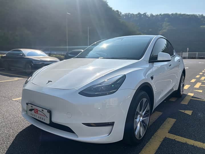 Фото 1 - Tesla Model Y