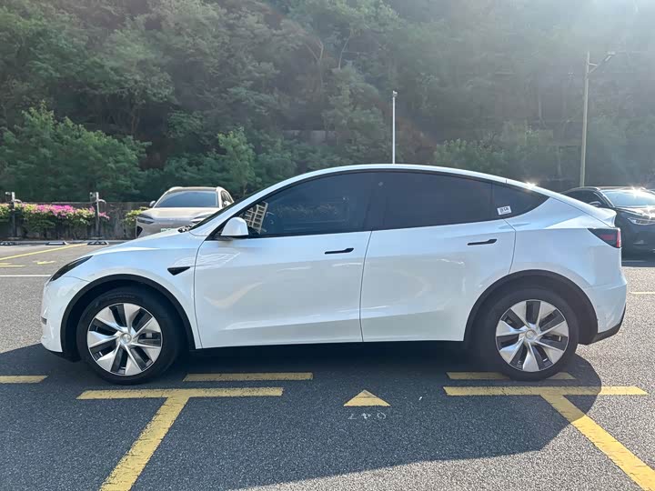 Фото 4 - Tesla Model Y