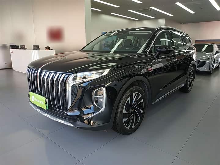 Фото 1 - Hongqi HS7 Hybrid