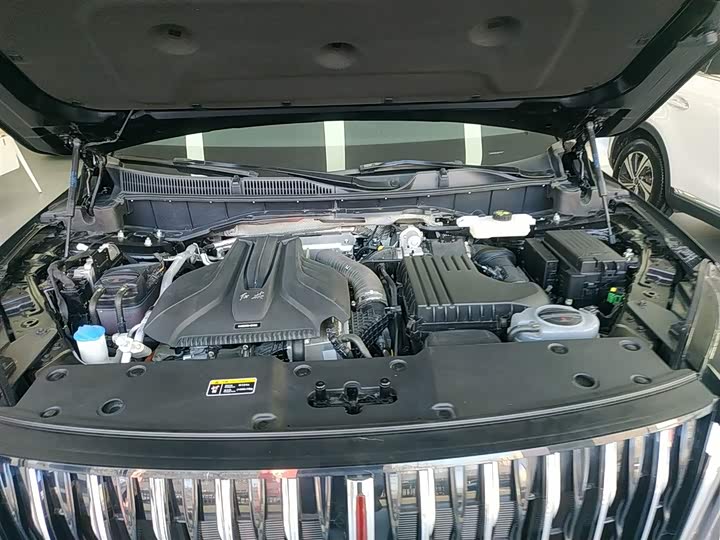 Фото 20 - Hongqi HS7 Hybrid