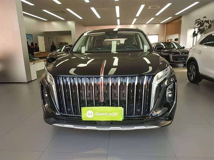 Фото 3 - Hongqi HS7 Hybrid