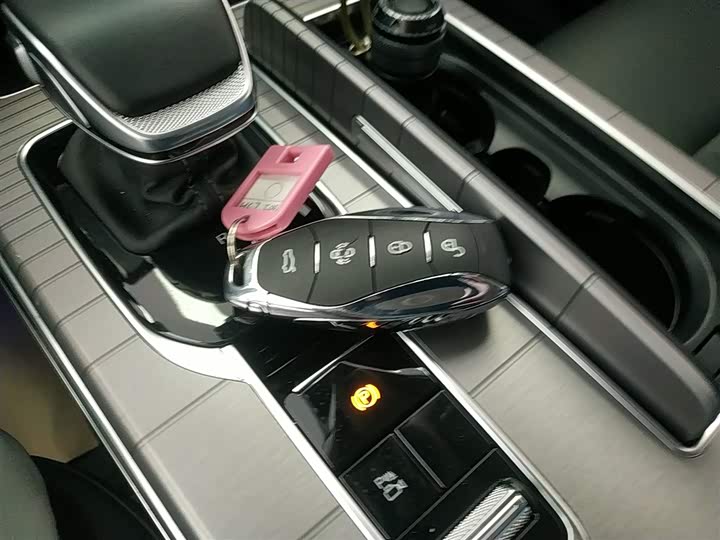 Фото 9 - Hongqi HS7 Hybrid