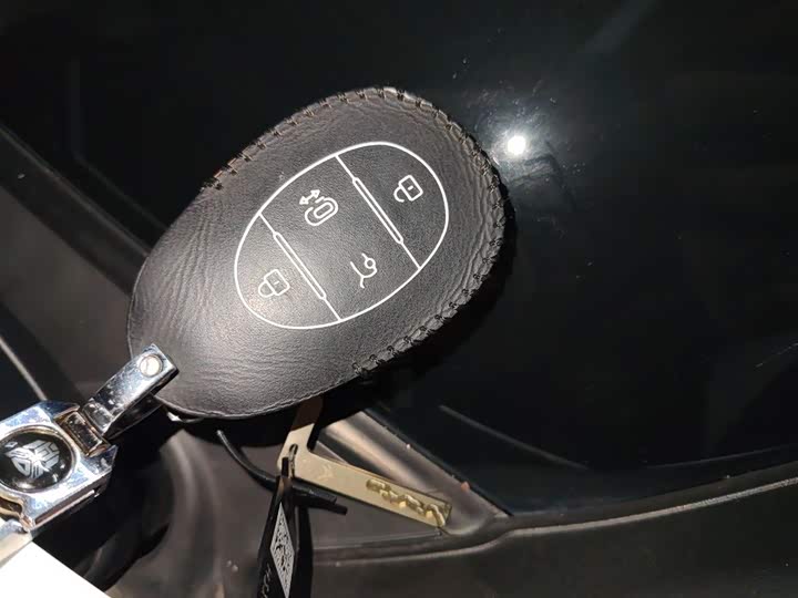 Фото 11 - BAIC Arcfox Kaola