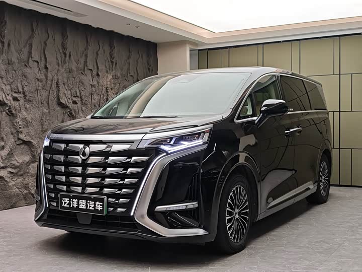 Фото 1 - Denza D9