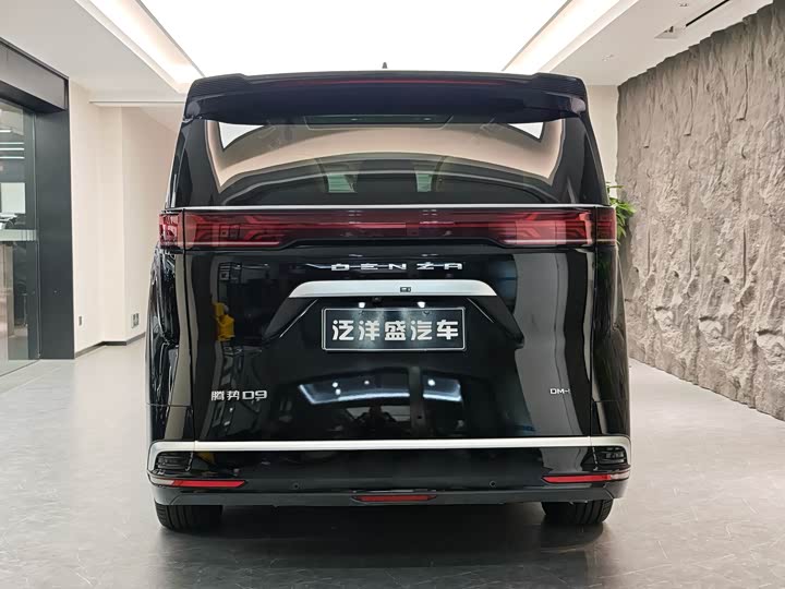 Фото 12 - Denza D9